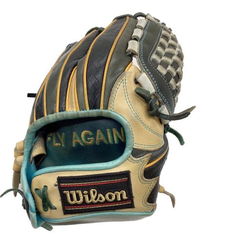 Wilson (ウィルソン) 軟式グローブ CDST2019 オーダーグローブ ケース付 約28cm ブラック×カーキ