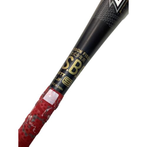 ZETT (ゼット) ブラックキャノンA-power 軟式バット BCT35384 専用ケース付 80cm ブラック