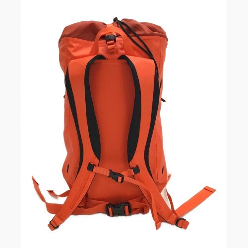 ARC'TERYX (アークテリクス) バックパック レッド ALPHA FL45 背面長 約41～45cm 41-50L(小屋・テント泊)