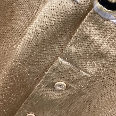 北海道日本ハムファイターズ (ホッカイドウニッポンハムファイターズ