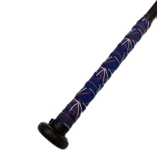 MIZUNO (ミズノ) ソフトボール用バット 84cm ブラック AX4 2020モデル ケース付き ミズノプロ 1CJFS318