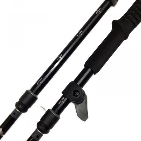 BLACK DIAMOND (ブラックダイヤモンド) トレッキングポール 105