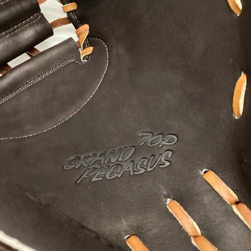 WORLD PEGASUS (ワールドペガサス) 硬式グローブ ダークブラウン 軟式・硬式兼用 @ GRAND PEGASUS キャッチャーミット WGN4FPT2