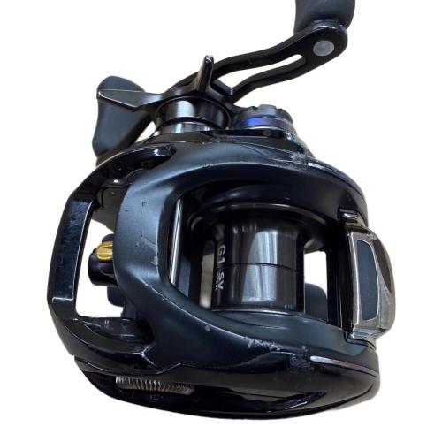 DAIWA (ダイワ) ジリオン10.0 SVTW ベイトリール リール 本体のみ