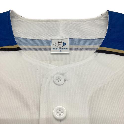 北海道日本ハムファイターズ (ホッカイドウニッポンハムファイターズ