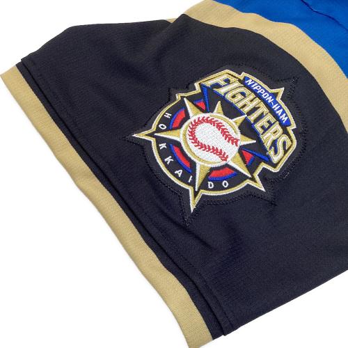 北海道日本ハムファイターズ (ホッカイドウニッポンハムファイターズ