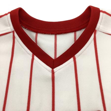 東京ヤクルトスワローズ (トウキョウヤクルトスワローズ) 応援グッズ