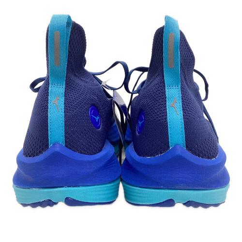 MIZUNO (ミズノ) ランニングシューズ メンズ SIZE 29cm ブルー