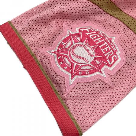 北海道日本ハムファイターズ (ホッカイドウニッポンハムファイターズ