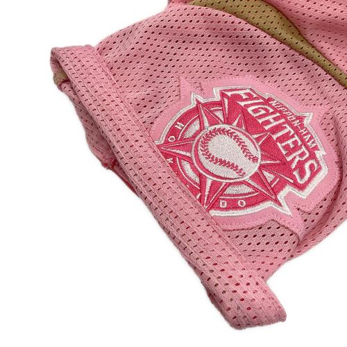 北海道日本ハムファイターズ (ホッカイドウニッポンハムファイターズ