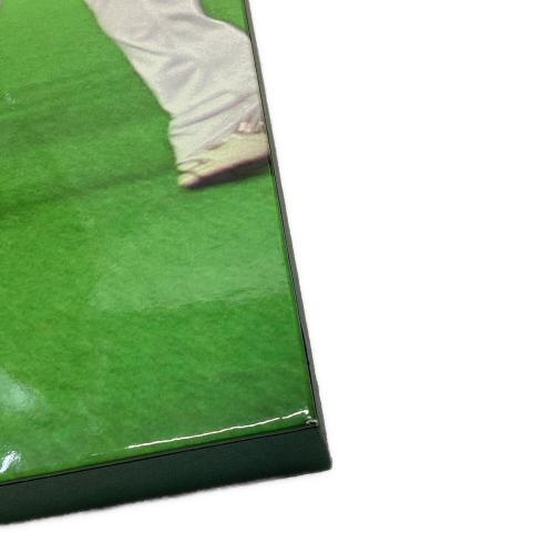 福岡ソフトバンクホークス (フクオカソフトバンクホークス) 応援グッズ 王貞治 2008年シーズン フォトパネル