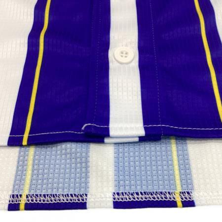 横浜DeNAベイスターズ (ヨコハマディーエヌエーベイスターズ) 応援