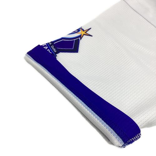 横浜DeNAベイスターズ (ヨコハマディーエヌエーベイスターズ) 応援