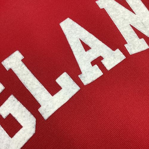 イングランド代表 (イングランドダイヒョウ) サポーターグッズ AK9001 ワールドカップトロフィーブローチ仕様 SIZE O