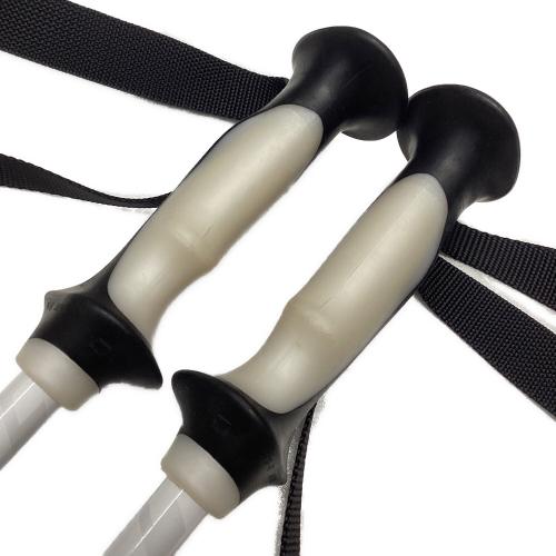 SINANO (シナノ) FREE FAST α ストック 90-115cm