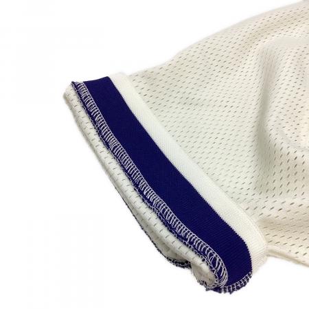 横浜DeNAベイスターズ (ヨコハマディーエヌエーベイスターズ) 応援