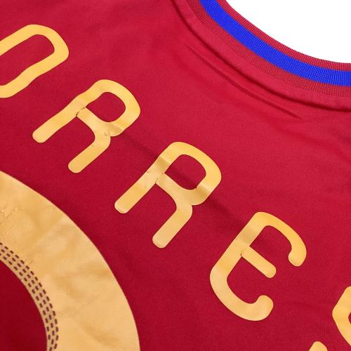 スペイン代表 (スペインダイヒョウ) サッカーユニフォーム P47902 2010ホーム SIZE L レッド