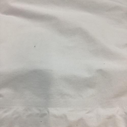 BURTON (バートン) AK GORE CYCLIC JK スノーボードウェア(ジャケット) 2023-2024年モデル メンズ SIZE L ホワイト