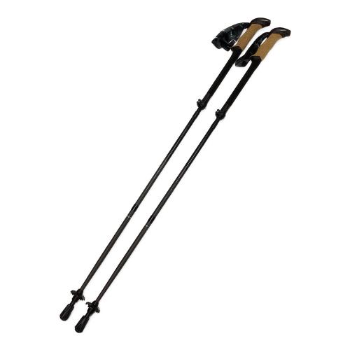 LekiSport (レキスポーツ) トレッキングポール 65229001 110-130cm ブラック BLACK SERIES FX CARBON