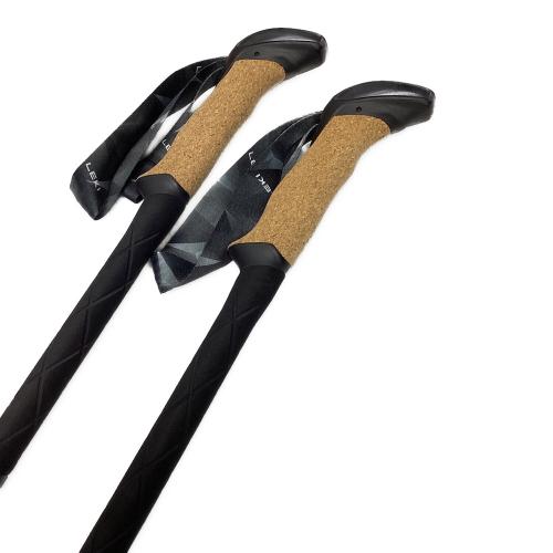 LekiSport (レキスポーツ) トレッキングポール 65229001 110-130cm ブラック BLACK SERIES FX CARBON