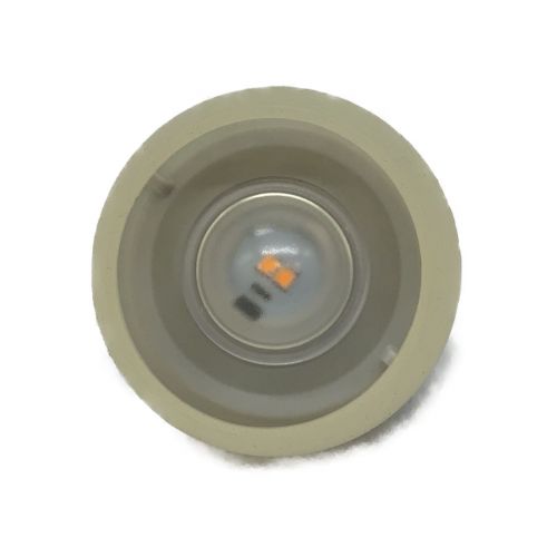 Snow peak (スノーピーク) LEDランタン 単4×3本 ES-041GR たねほおずき もり