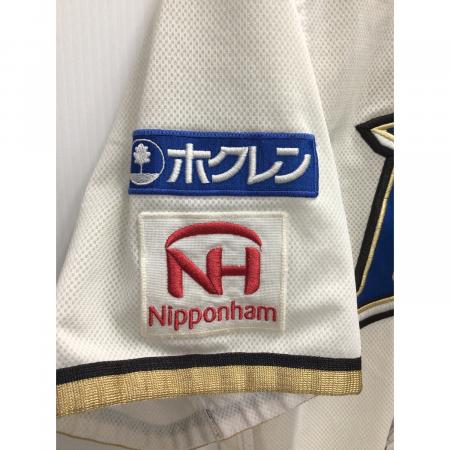 北海道日本ハムファイターズ (ホッカイドウニッポンハムファイターズ