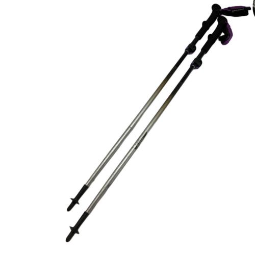 BLACK DIAMOND (ブラックダイヤモンド) トレッキングポール 2本セット 125-105㎝ ブラック ディスタンスFLZ