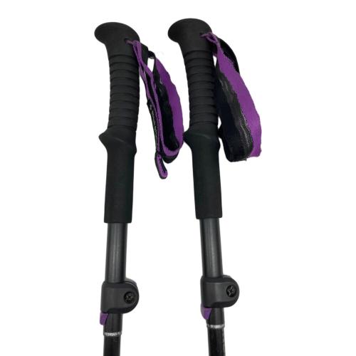 BLACK DIAMOND (ブラックダイヤモンド) トレッキングポール 2本セット 125-105㎝ ブラック ディスタンスFLZ