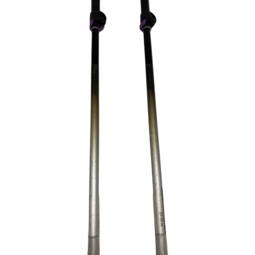 BLACK DIAMOND (ブラックダイヤモンド) トレッキングポール 2本セット 125-105㎝ ブラック ディスタンスFLZ
