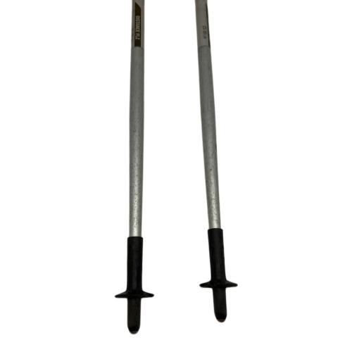 BLACK DIAMOND (ブラックダイヤモンド) トレッキングポール 2本セット 125-105㎝ ブラック ディスタンスFLZ