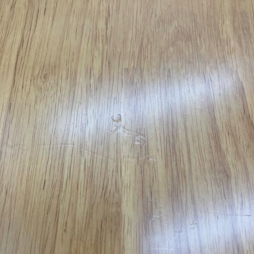 Snow peak (スノーピーク) アウトドアテーブル CK-080 天板4枚 エントリーIGT