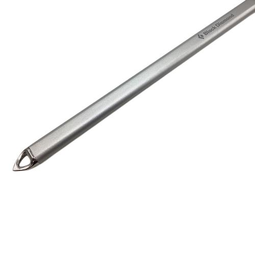 BLACK DIAMOND (ブラックダイヤモンド) ピッケル 55cm シルバー BD410162 レイブンプロ ストレートタイプ ヘッド素材【ステンレス】