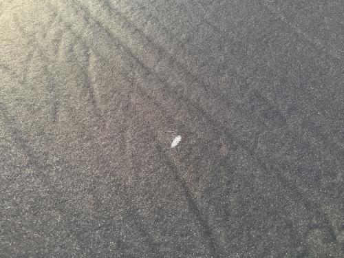 THE NORTH FACE (ザ ノース フェイス) テントインナーマット 2枚付 インフレータブル式 ジオドーム専用インナーマット