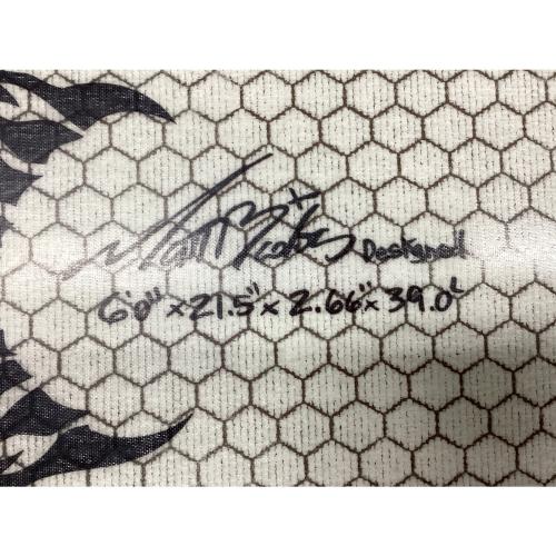 LOST (ロスト) ショートボード 6'0"×21.5"×2.66"×39.0L @ LIB TECH シェイパー【MEYHEM(メイヘム)】 5フィンタイプ