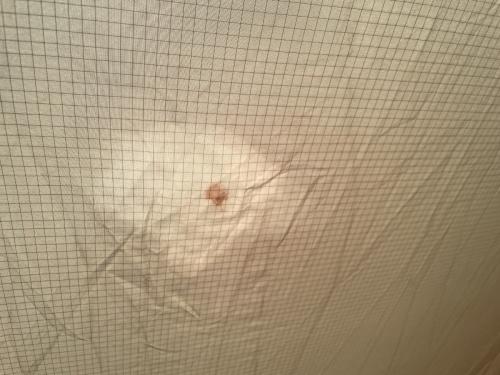 HELSPORT (ヘルスポート) シェルター リペア複数個所・シーム浮き・穴・TPU白濁・ヨゴレ有 バランゲルドーム8-10