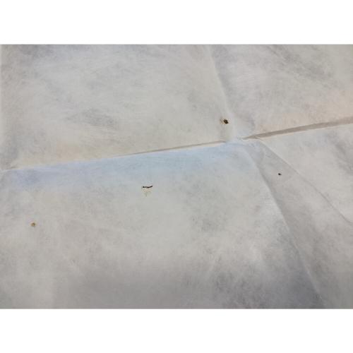 UGL グランドシート 約200×95cm タイベックシート 65g ULTRA GOOD LUCK