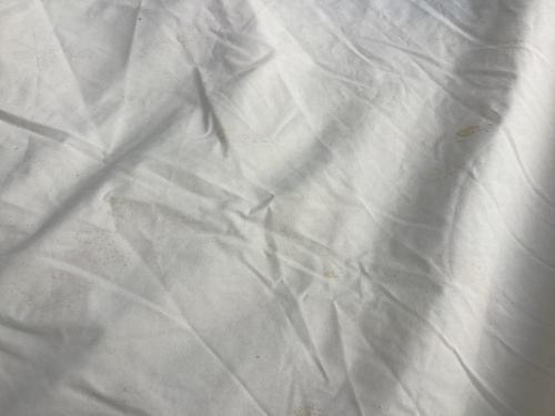 OGAWA (オガワ) モノポールテント シミ・ヨゴレ有 ピルツ15 TC