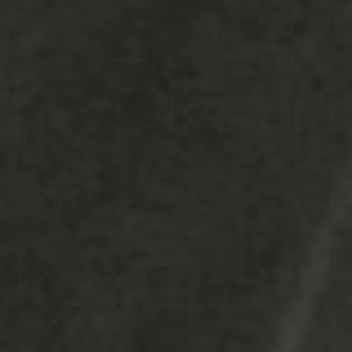 BURTON (バートン) AK GORE CYCLC BIB スノーボードウェア(パンツ) メンズ SIZE S ブラック