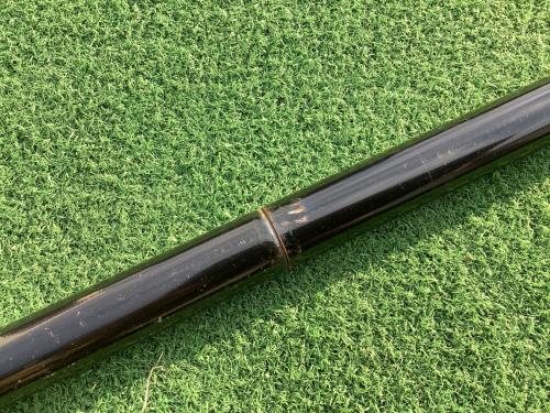 SABBATICAL (サバティカル) シェルター 小穴有 モーニンググローリーTC