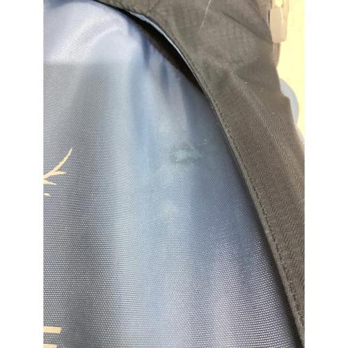 OSPREY (オスプレー) バックパック ベビーキャリア スカイブルー POCO AG PLUS