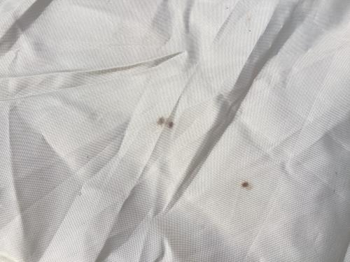 OGAWA (オガワ) ツールームテント 2774 スカート小穴・ヨゴレ・ポール設営癖有 アポロン