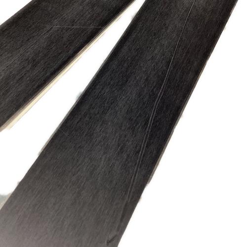 ROSSIGNOL (ロシニョール) DEMO ALPHA Soft カービングスキー ビンディングヤケ有 162cm