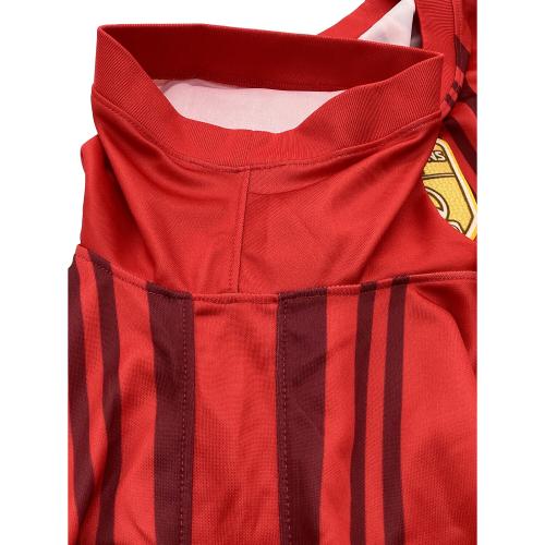 浦和レッズ (ウラワレッズ) サッカーユニフォーム ACL SPECIAL EDIT JERSEY/1st メンズ SIZE 3XL レッド