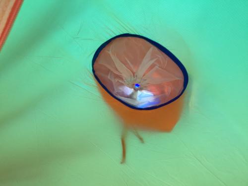 DUNLOP (ダンロップ) 登山用テント VS10