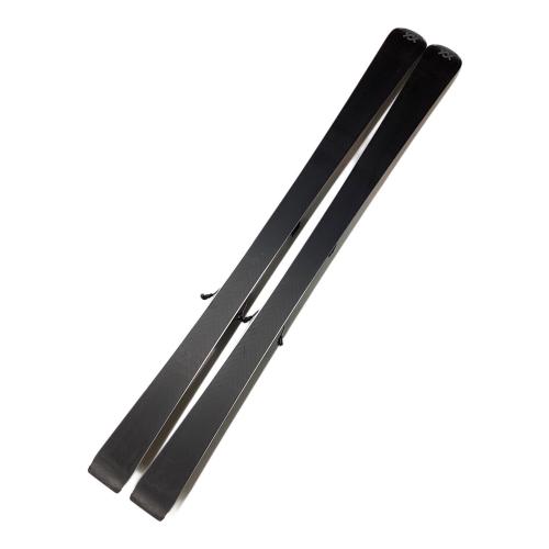 Volkl (フォルクル) PEREGRINE RXT カービングスキー 24-25 161cm