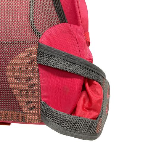 quechua (ケシュア) バックパック グレー×ピンク FORCLAZ 30 AIR+