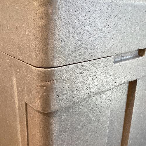 Deelight (ディーライト) ハイブリットクーラーボックス クーラーボックス 40L ベージュ×グレー