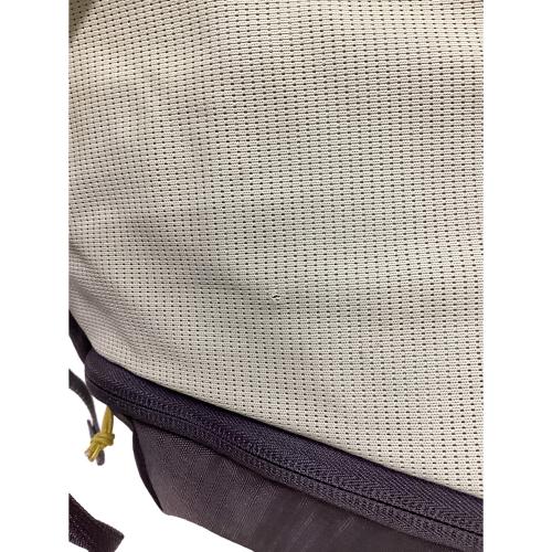 SALOMON (サロモン) バックパック C24668 グレー エアロトレック40