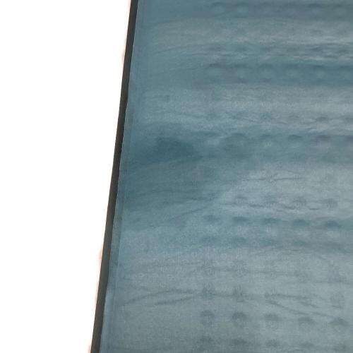 NEMO (ニーモ) インフレータブルマット ブルー ケースのみ付属 約76×198×厚さ10cm ROAMER XL WIDE