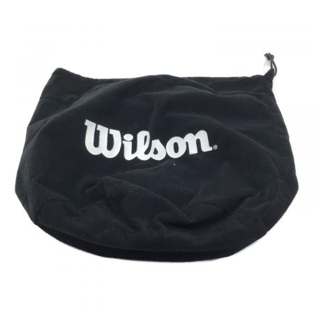 Wilson (ウィルソン) 審判用 マスク チタンフレーム ブラック NPB仕様 硬式 ケース付 WTA3009TBNPB